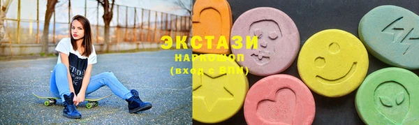 мдпв Богородицк