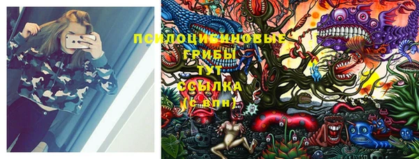 мдпв Богородицк