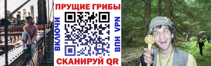 Галлюциногенные грибы GOLDEN TEACHER  ссылка на мегу как войти  Ирбит 